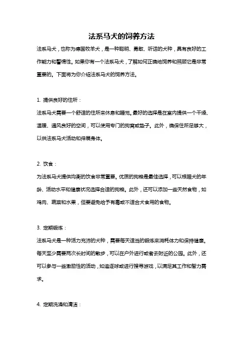 法系马犬的饲养方法
