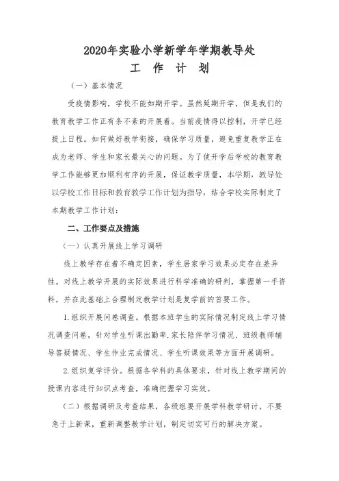 2020年实验小学新学年学期教导处工作计划