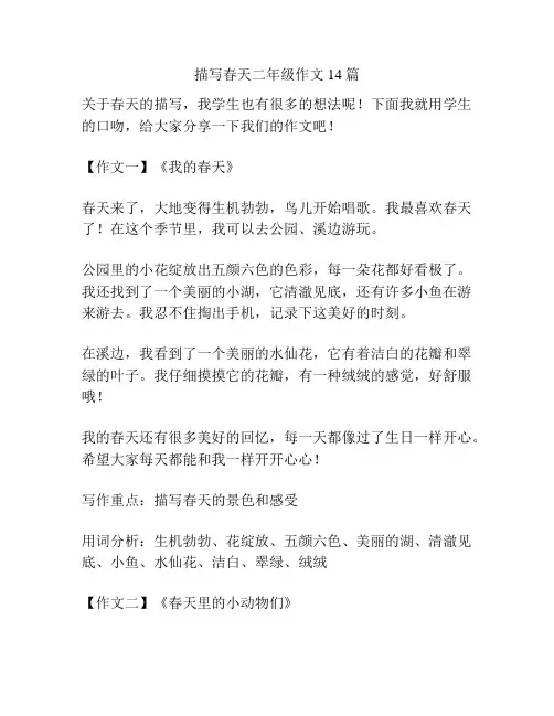 描写春天二年级作文14篇