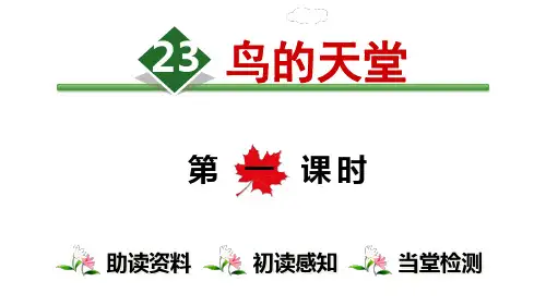 23.鸟的天堂【第1课时】 人教部编版五年级上册语文课件(共29张PPT)  图文