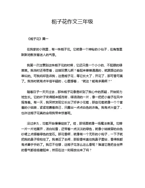 枙子花作文三年级