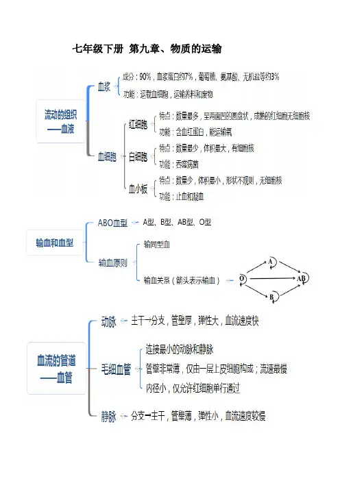 北师大版生物七年级下册第9章人体内的物质运输 复习提纲