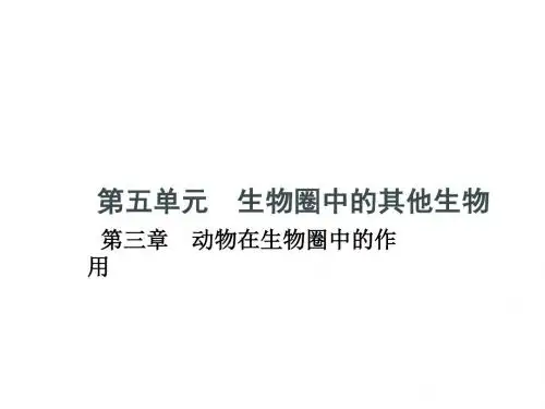人教版八年级生物上册5.3《动物在生物圈中的作用》习题课件