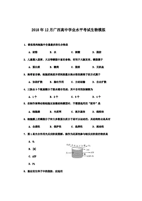 2018年12月广西高中学业水平考试生物模拟试题