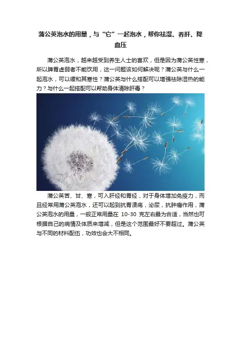 蒲公英泡水的用量，与“它”一起泡水，帮你祛湿、养肝、降血压