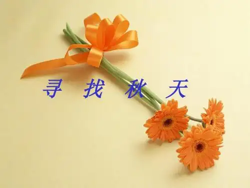 一年级语文上册寻找秋天课件北京版 共19页