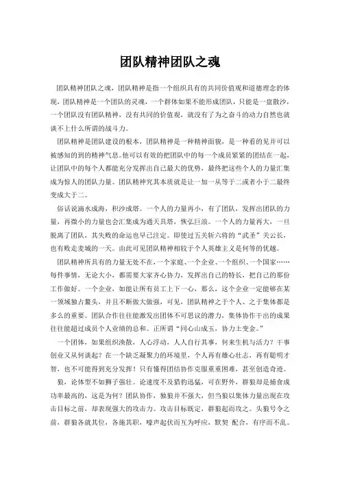 团队精神