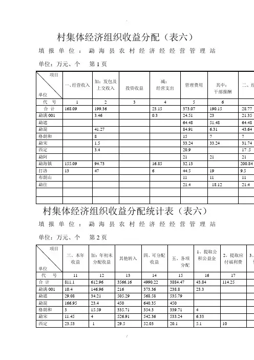 村集体经济组织收益分配(表六)