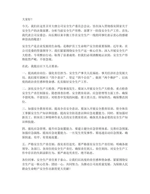 大唐公司安委会领导发言稿
