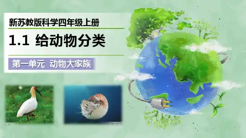 新苏教版科学四年级上册《给动物分类》优质课件