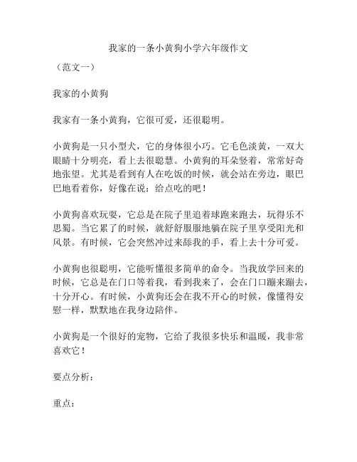 我家的一条小黄狗小学六年级作文