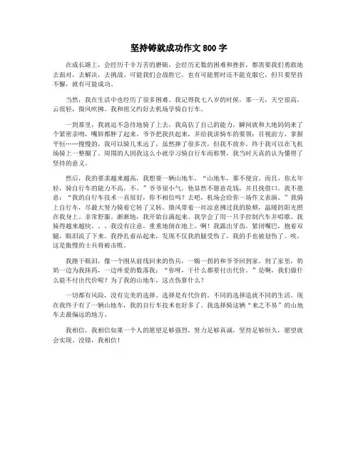 坚持铸就成功作文800字