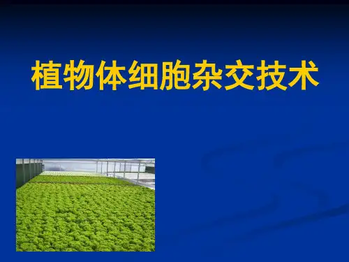 高中生物选修3专题植物体细胞杂交技术