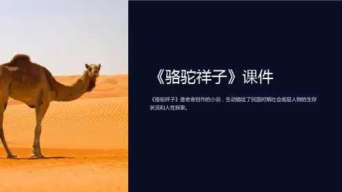 《骆驼祥子》课件