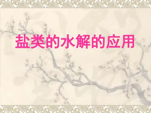 苏教化学选修 化学反应原理专题3 第三单元盐 类 的 水 解(共18张PPT)