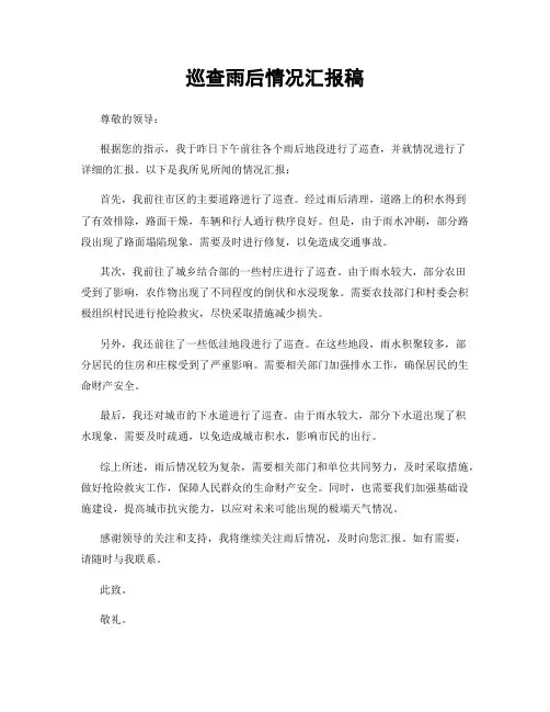 巡查雨后情况汇报稿