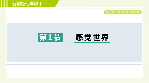 2024年浙教版七年级下册科学第2章对环境的察觉第1节感觉世界