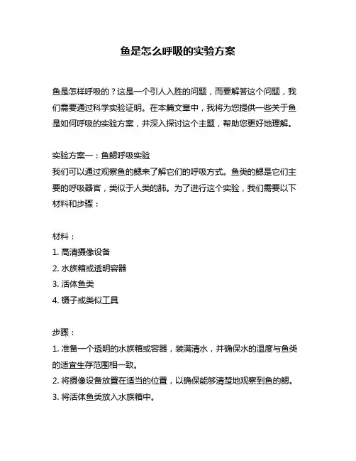 鱼是怎么呼吸的实验方案