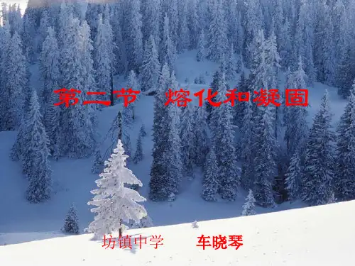 《熔化与凝固》课件 .ppt