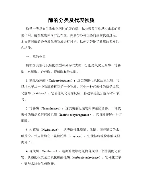 酶的分类及代表物质
