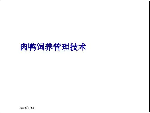 肉鸭饲养管理技术
