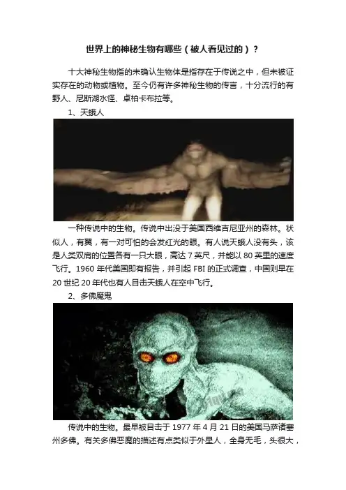 世界上的神秘生物有哪些（被人看见过的）？
