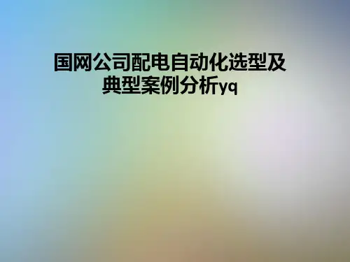 国网公司配电自动化选型及典型案例分析yq