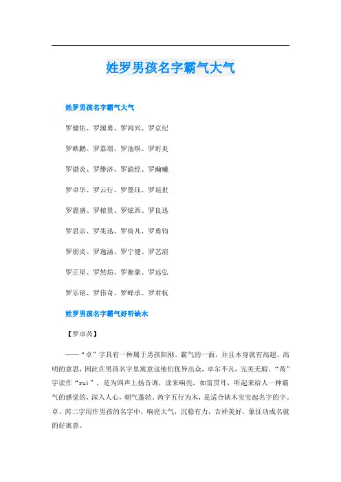 姓罗男孩名字霸气大气