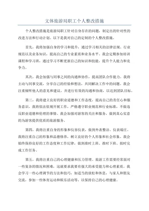 文体旅游局职工个人整改措施