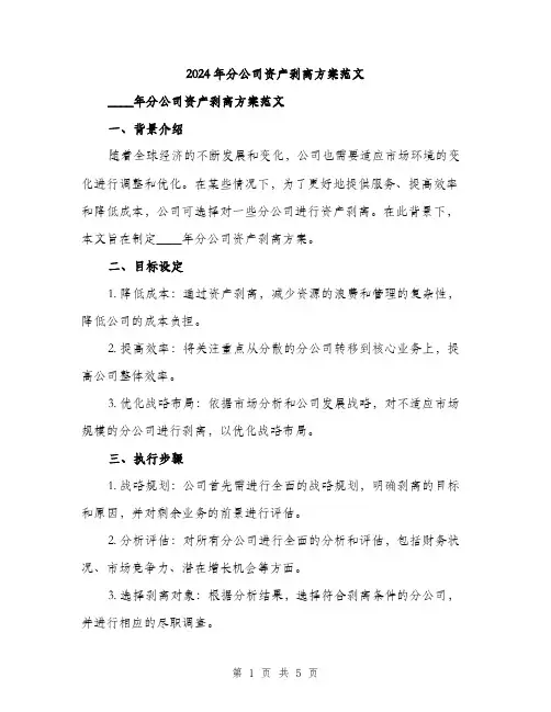 2024年分公司资产剥离方案范文(2篇)