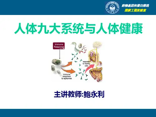 人体九大系统与人体健康1 ppt课件