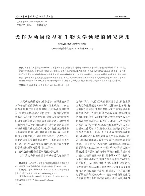 犬作为动物模型在生物医学领域的研究应用