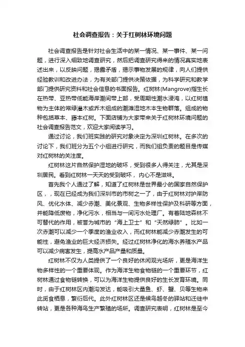社会调查报告：关于红树林环境问题