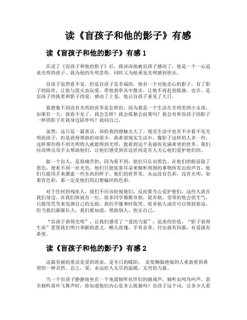 读《盲孩子和他的影子》有感