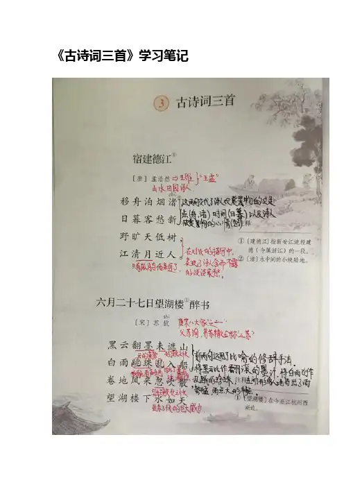 六年级上册古诗词三首读书笔记