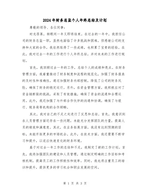 2024年财务总监个人年终总结及计划(二篇)