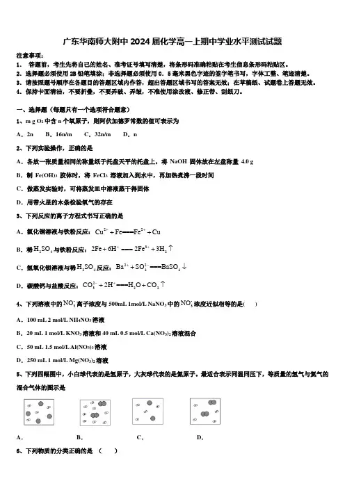 广东华南师大附中2024届化学高一上期中学业水平测试试题含解析
