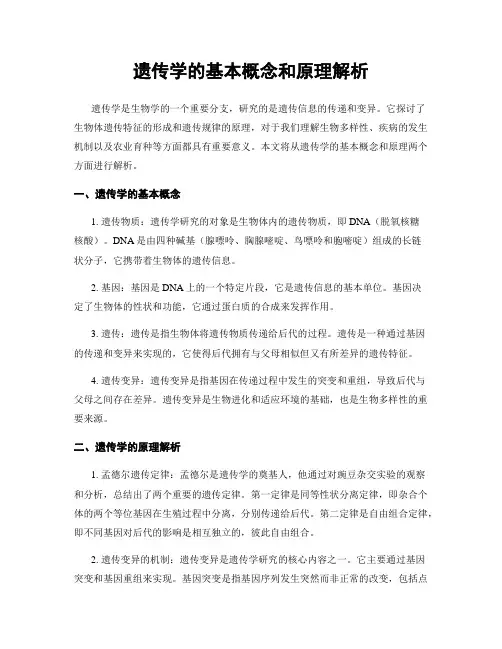 遗传学的基本概念和原理解析