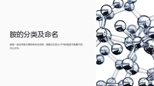 《胺的分类及命名》课件