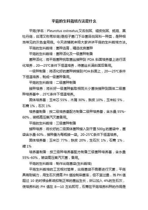 平菇的生料栽培方法是什么