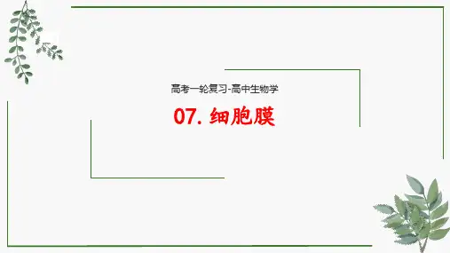 第07讲 细胞膜-高考一轮复习课件(新教材新高考)