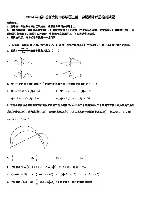 2024年浙江省浙大附中数学高三第一学期期末质量检测试题含解析