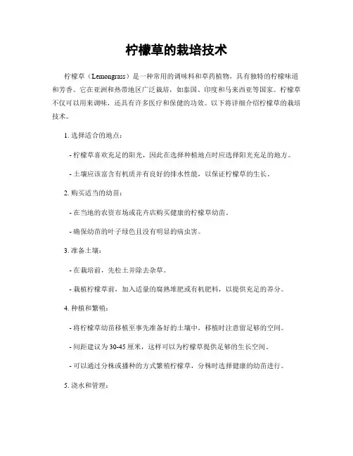 柠檬草的栽培技术