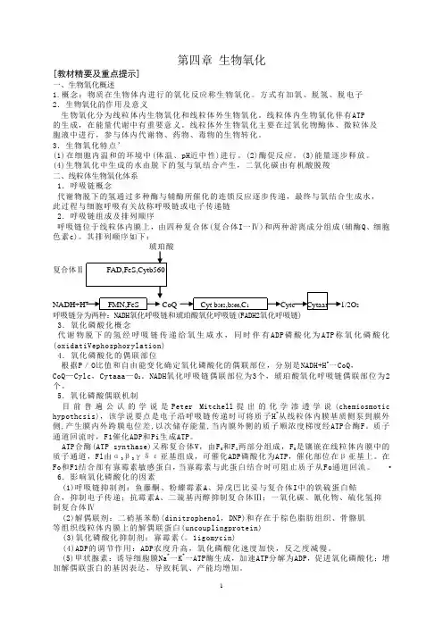 生物化学习题-生物氧化