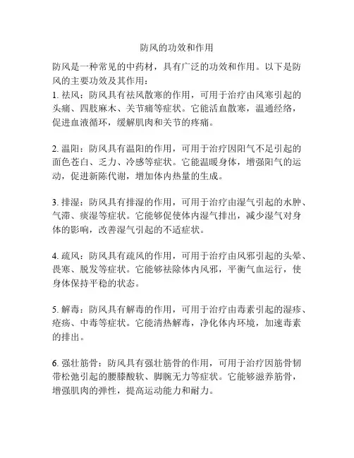防风的功效和作用