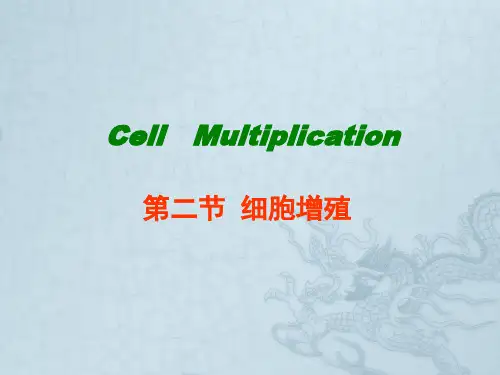 高考生物总复习 细胞增殖 ppt