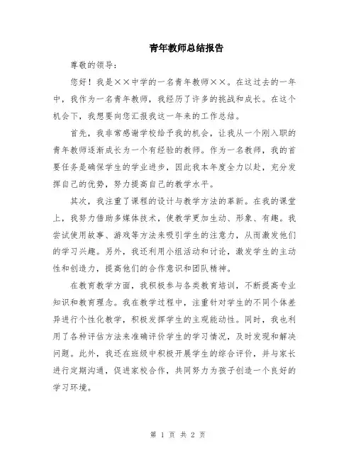 青年教师总结报告