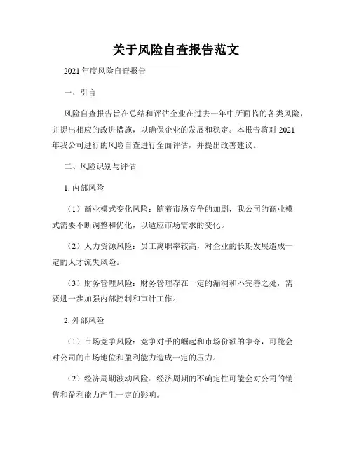关于风险自查报告范文