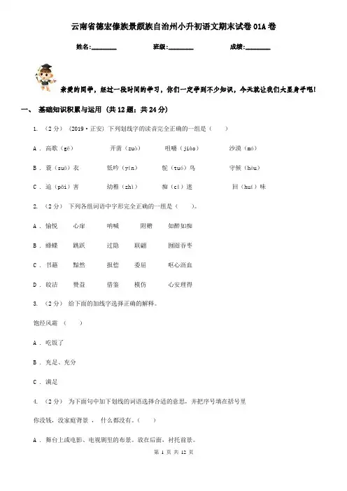 云南省德宏傣族景颇族自治州小升初语文期末试卷01A卷