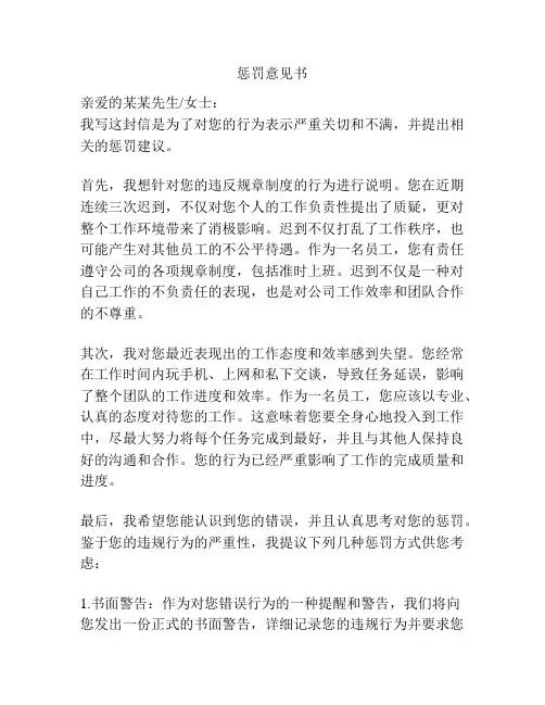 惩罚意见书